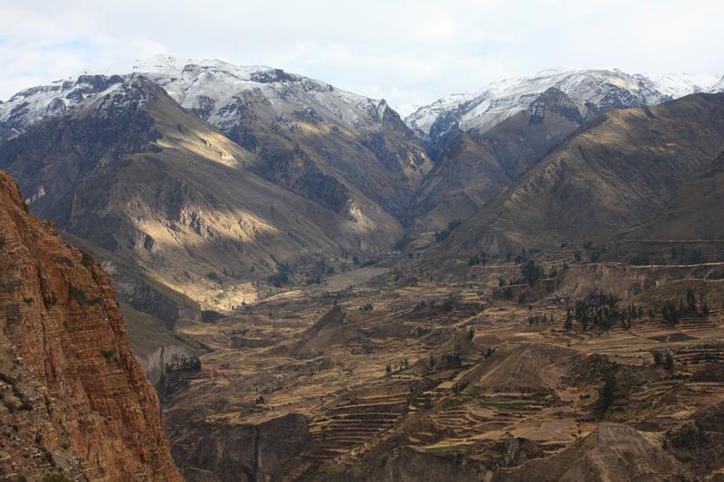 906-Canyon del Colca,15 luglio 2013.JPG